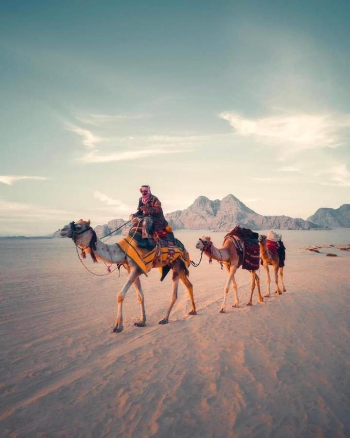 Wadi Rum Desert Shine Вади Рум Екстериор снимка